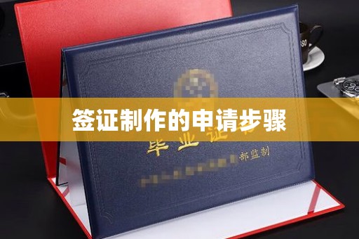 罗田签证制作的申请步骤